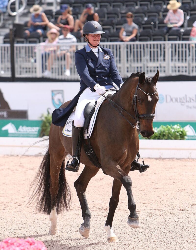 Membership Spotlight: Stonebridge Sporthorses